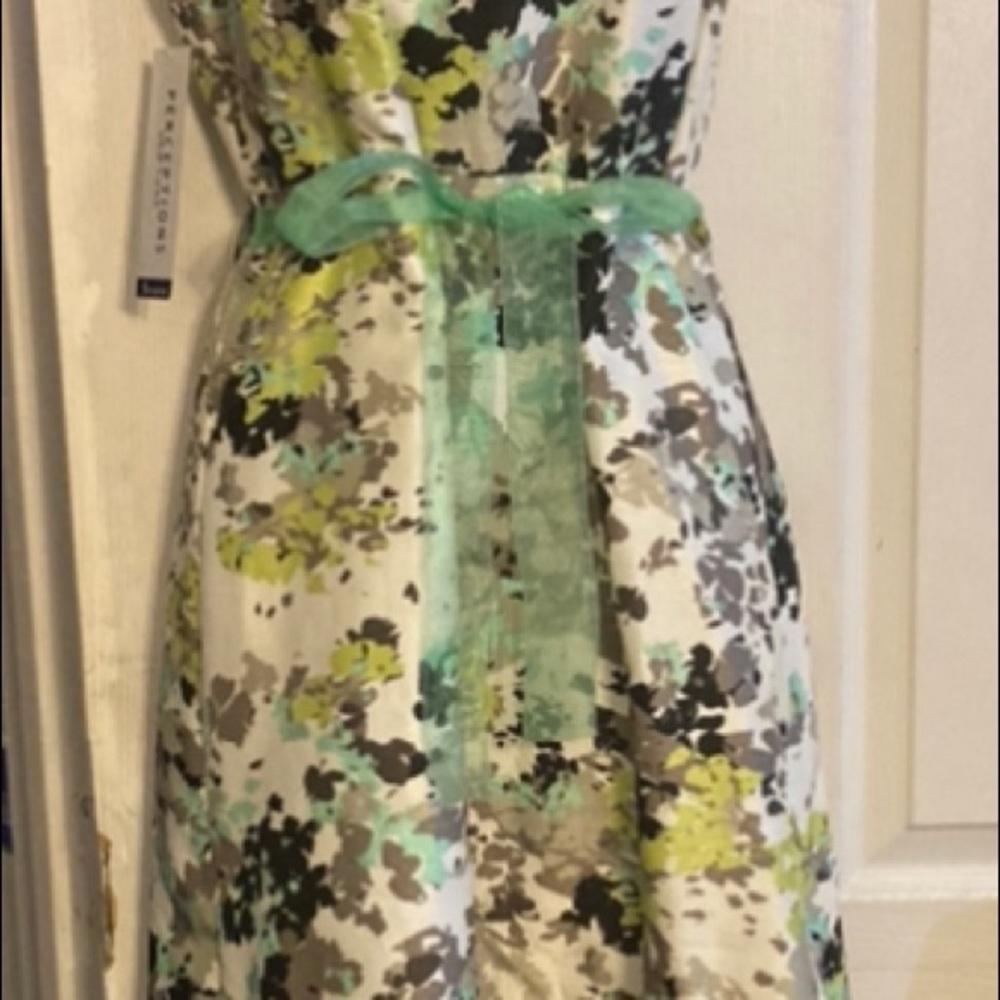 Beautiful Dress - Picture 6 of 8